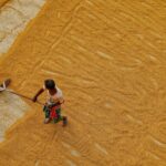 a person holding a stick in a sand dune